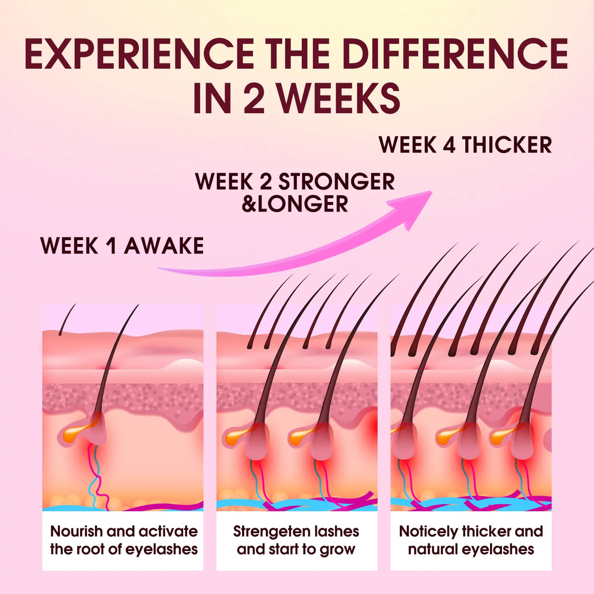 Biysber Pink eyelash serum supplier care illustration