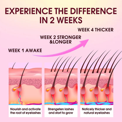 Biysber Pink eyelash serum supplier care illustration