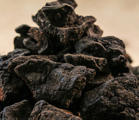 Polygonum multiflorum extract ingredient illustration