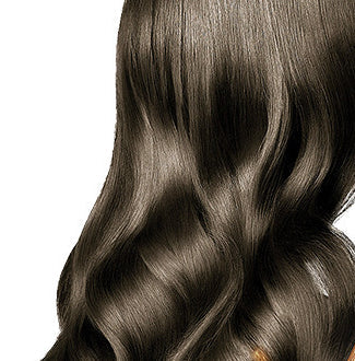 Chestnut Brown hair shade reference