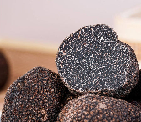 Black truffle extract ingredient illustration
