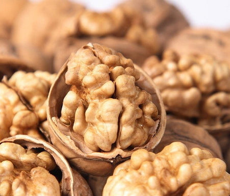 Walnut ingredient illustration