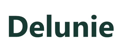 Delunie minimalist sans-serif wordmark